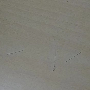 Markette Satılan Ton Balığında Kılçık Sorunu