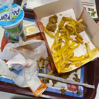 Bayat Tavuk Ve Soğuk Patates Deneyimi