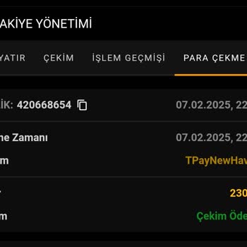 Papara Hesabıma Çekim Yapamıyorum, Mağdurum