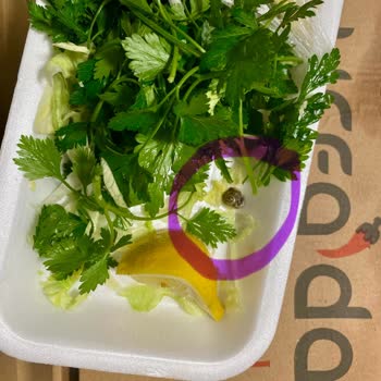 Urfadan Kebapçı Hijyen Sorunları Ve Yüksek Fiyatlar: Kağıthane Şubesi'nde Hayal Kırıklığı