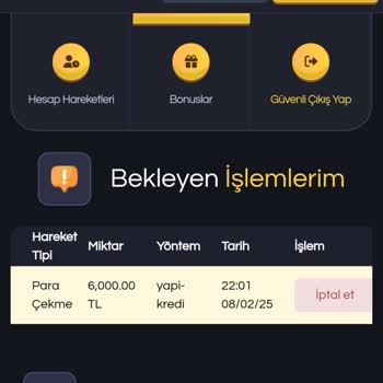 Kazancımın Yatırılmaması Ve Paramın El Konulması