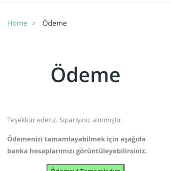 Kedi Maması Siparişim Neden Hala Kargoya Verilmedi
