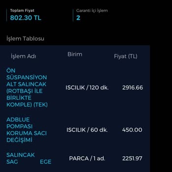 Egea Aracımın Çözülemeyen Ses Problemi