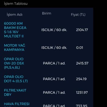 Egea Aracımın Çözülemeyen Ses Problemi