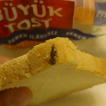 Ekmekte Böcek Şoku: İnsan Sağlığı Hiçe Sayılıyor