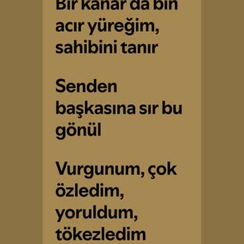 Spotify Şarkı Sözü Görüntüleme Sorunu