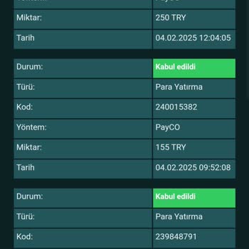 Betsalvador Sürekli Kayıp Ve Yetersiz Jest Bonusu Talebi