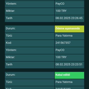 Betsalvador Sürekli Kayıp Ve Yetersiz Jest Bonusu Talebi