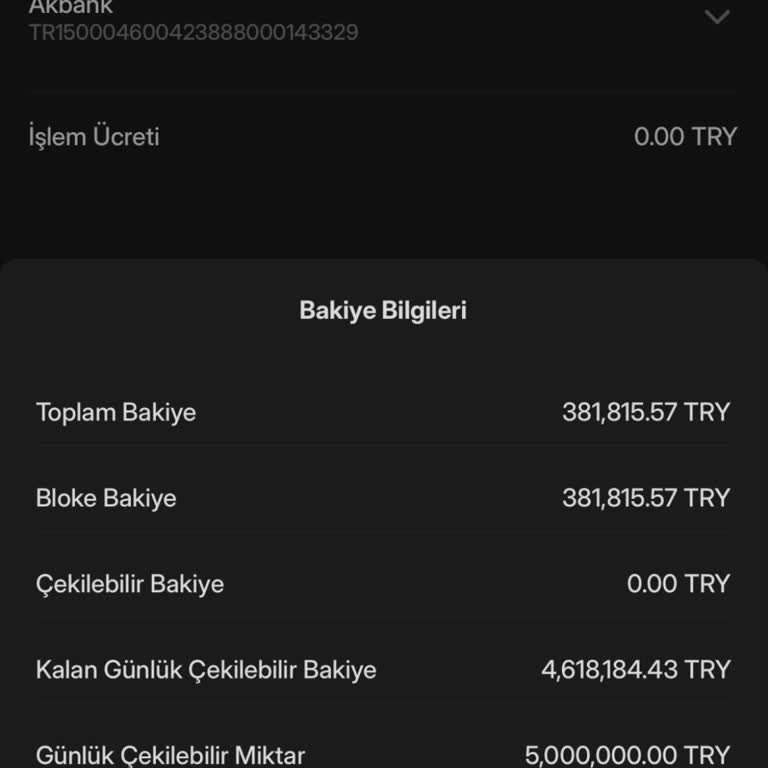 Bitlo'da Para Çekme Sorunu Ve Destek Yetersizliği