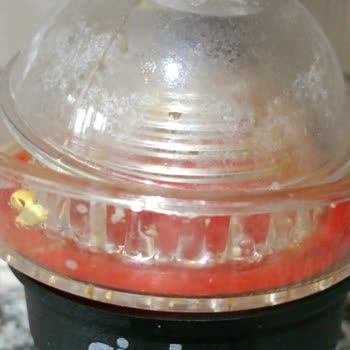 Sinbo Narenciye Sıkacağı: Dayanıksız Tasarım Hayal Kırıklığı