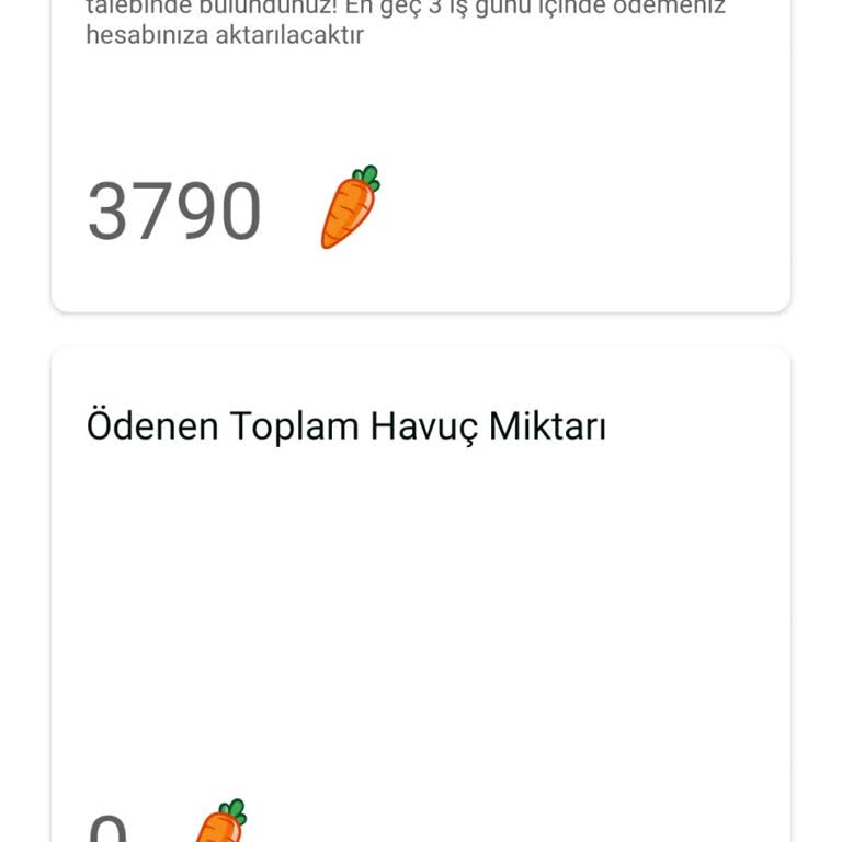 Havucum Uygulamasında Ödeme Gecikmesi