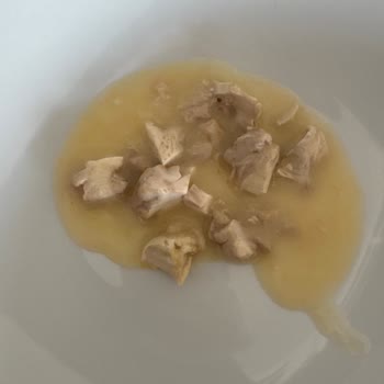 Yemek Siparişi Sorunu Ve İletişim Eksikliği