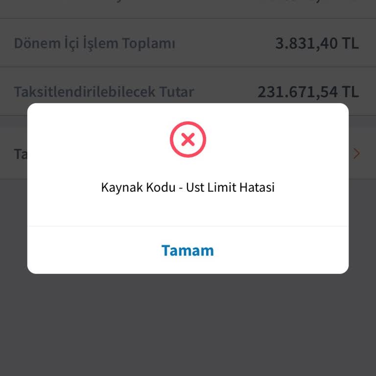 Kredi Kartı Borcu Ve Taksitlendirme Sorunu
