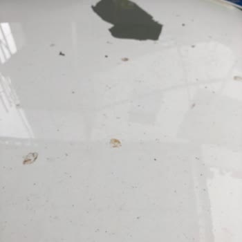 Toyota Corolla'da Kronik Boya Atma Sorunu Ve İletişim Zorluğu