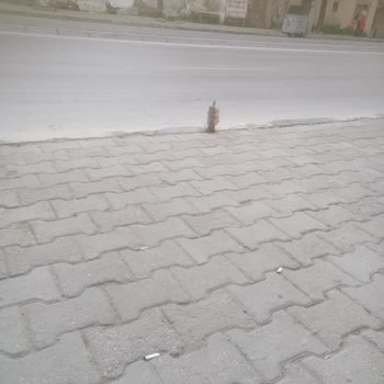 Tehlikeli Yol: Caddede Gizli Tehlike