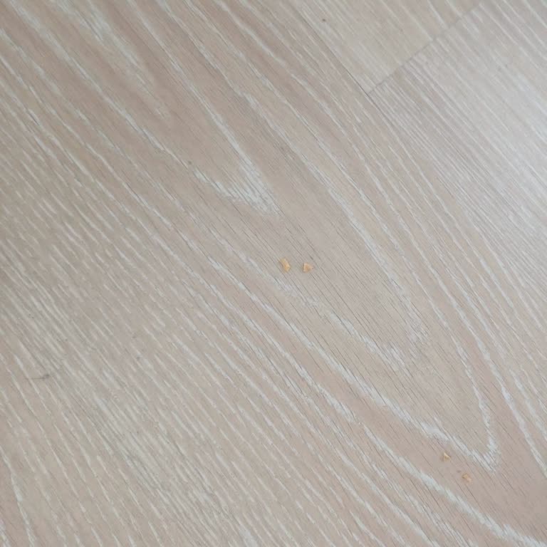 Sanitas Otelinde Isınma Ve Temizlik Sorunlarıyla Karşılaştık