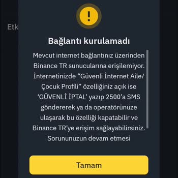Giriş Sorunu Ve Çözüm Arayışı