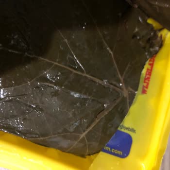 Bozuk Ürün Ve İlgisiz Müşteri Hizmetleri