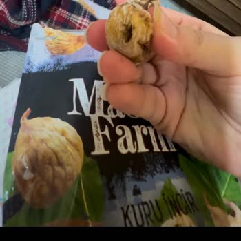 Gold Harvest Kuruyemiş Migros'tan Aldığım İncir Sağlığımı Tehdit Etti