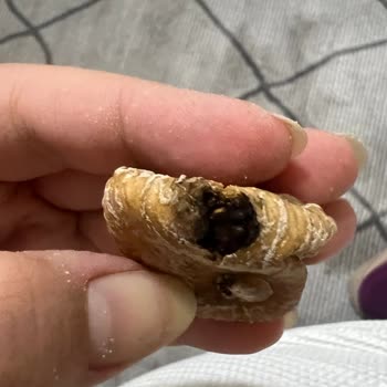 Gold Harvest Kuruyemiş Migros'tan Aldığım İncir Sağlığımı Tehdit Etti