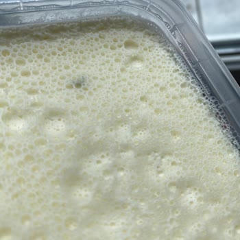 Taze Tarihli Kaymakta Küf Şoku