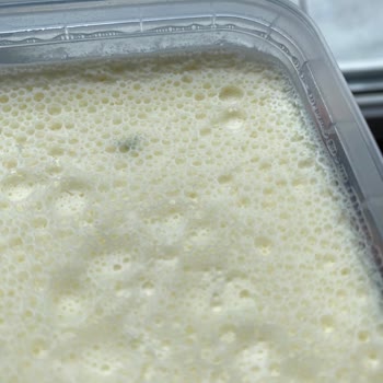 Taze Tarihli Kaymakta Küf Şoku