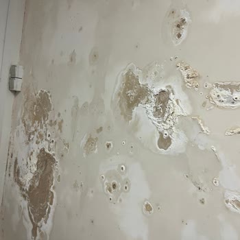 Bilaller Otomotiv Yetkili Servis Ofisinde Rutubet Ve Kirlilik Sorunu