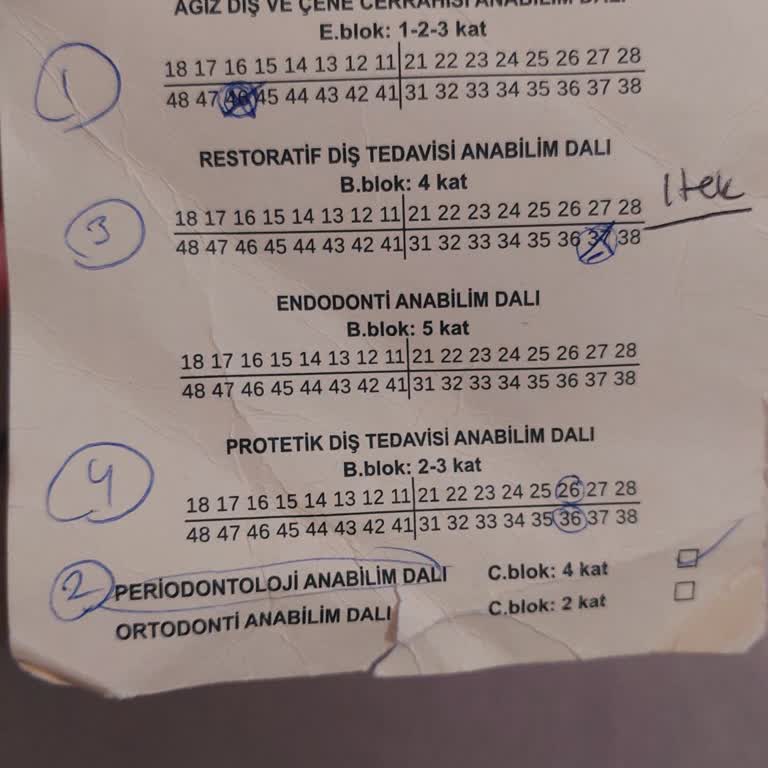 Diş Tedavisinde İlgisizlik Ve Mağduriyet