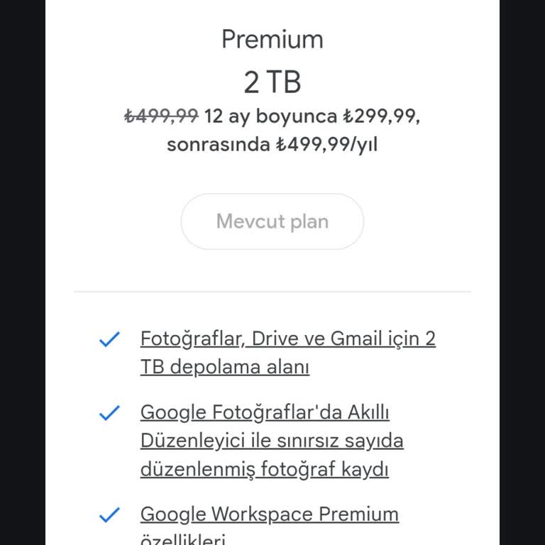 Google One 2 TB İle Sınırsız Fotoğraf Düzenleme Beyanı Gerçeği Yansıtmıyor!