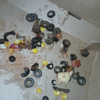 Kurtköy Şubesinde Olumsuz Pizza Deneyimi