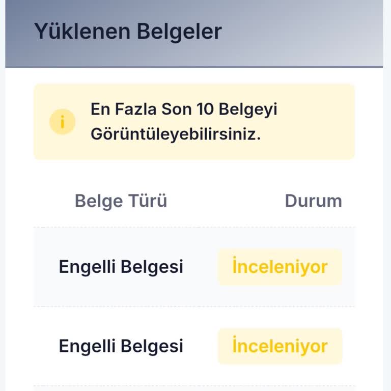 Engelli Yolcu Belgelerinin İncelenmemesi