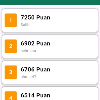 Puan Listesine Girememe Sorunu