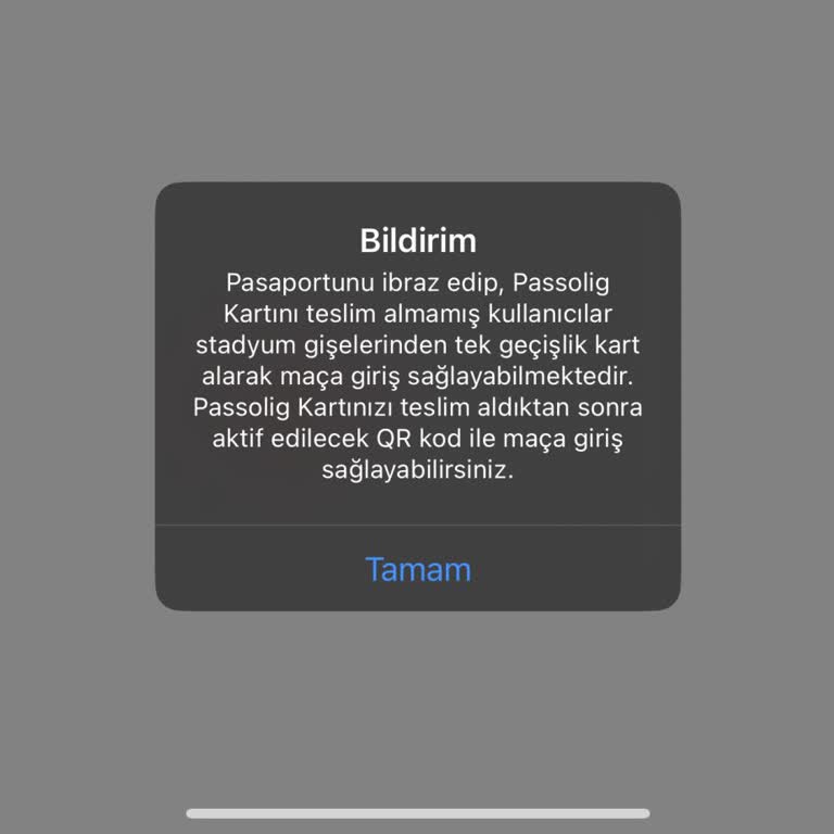 Passolig Uygulamasında Pasaport Sorunu