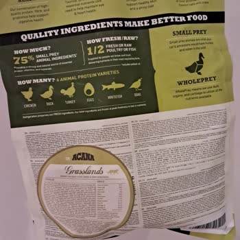 Kedimde Sağlık Sorunlarına Yol Açan Mama Deneyimi