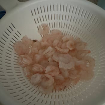 Dondurulmuş Karidesin Hijyen Sorunu