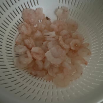 Dondurulmuş Karidesin Hijyen Sorunu