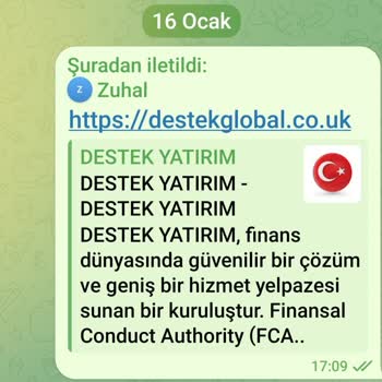 Destek Yatırım Yanıltıcı Yatırım Danışmanlığı Ve Kayıp