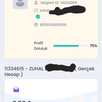 Destek Yatırım Yanıltıcı Yatırım Danışmanlığı Ve Kayıp