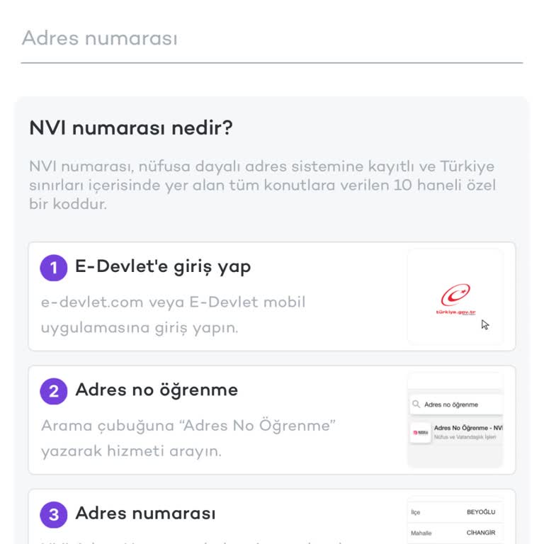 E-Devlet Engeliyle Karşılaşan Genç Kullanıcı
