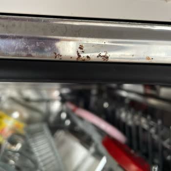 Garantisi Devam Eden Bulaşık Makinesinde Paslanma Sorunu