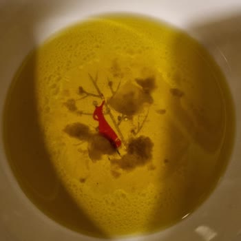 Zeytinyağında Yabancı Madde Şoku