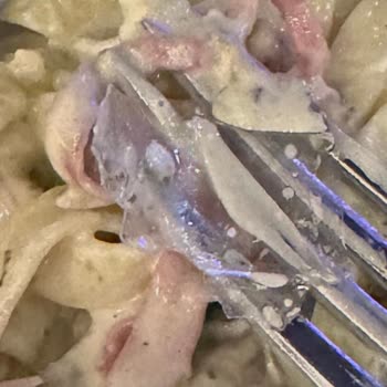 Tuzla Marina'da Şok Edici Deneyim