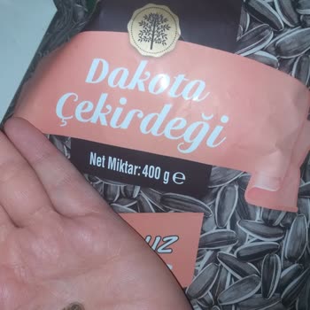 Çerezya Çekirdekte Şok Eden Salyangoz Sorunu