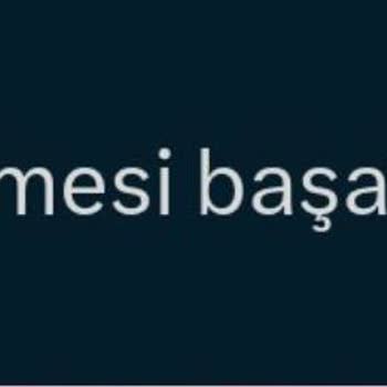 Profil Güncelleme Sorunları Ve Gizlilik Ayarları Karmaşası