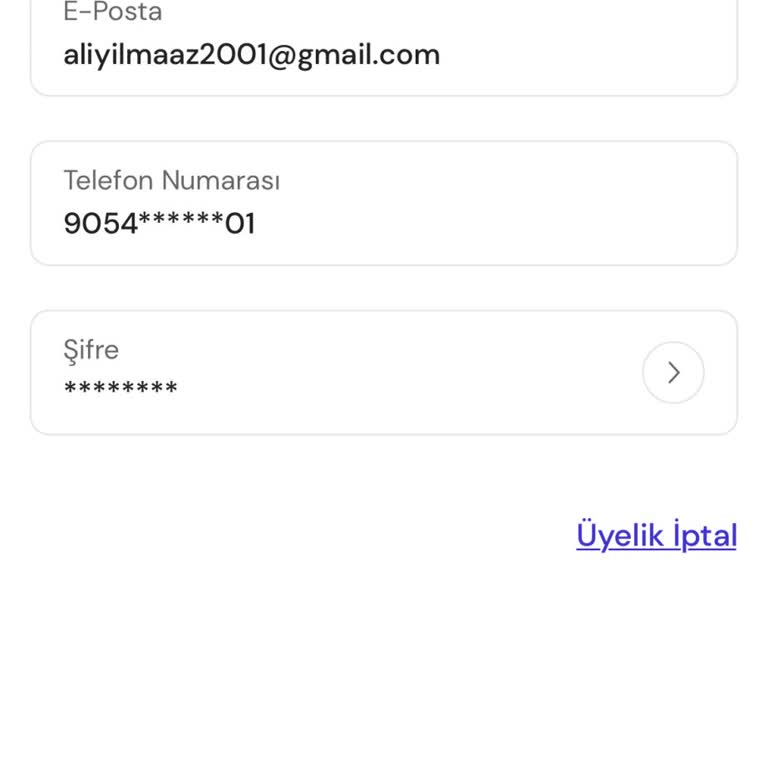 Passolig Uygulamasında Müşteri Hizmetleri Ve Güvenlik Sorunları