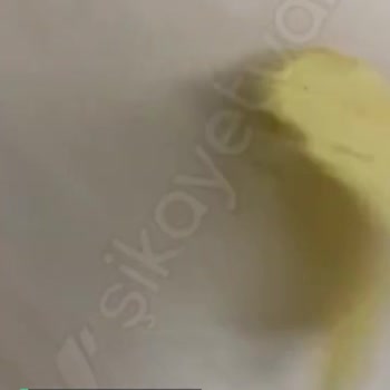 Lays Mevsim Yeşilliğinden Plastik Çıktı!