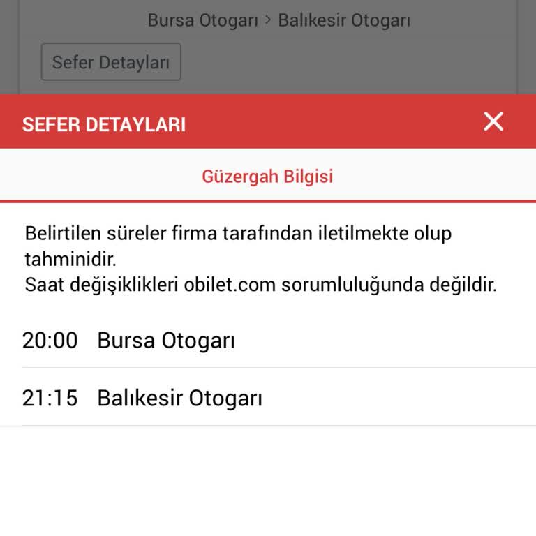 Efe Tur'un Keyfi Mola Kararı Yolcuları Mağdur Etti