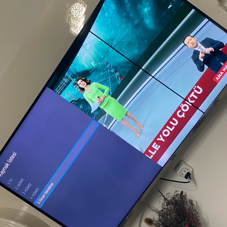 Vestel TV'nin Bitmeyen Sorunları