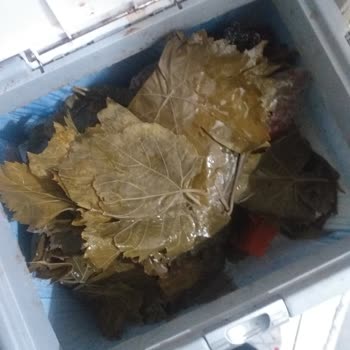 Kalitesiz Ürün Satışı