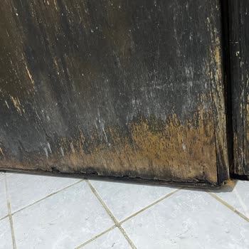 Risalet Turizm İle Umre Hüsranı!